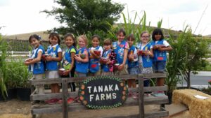 group of young girls scout
