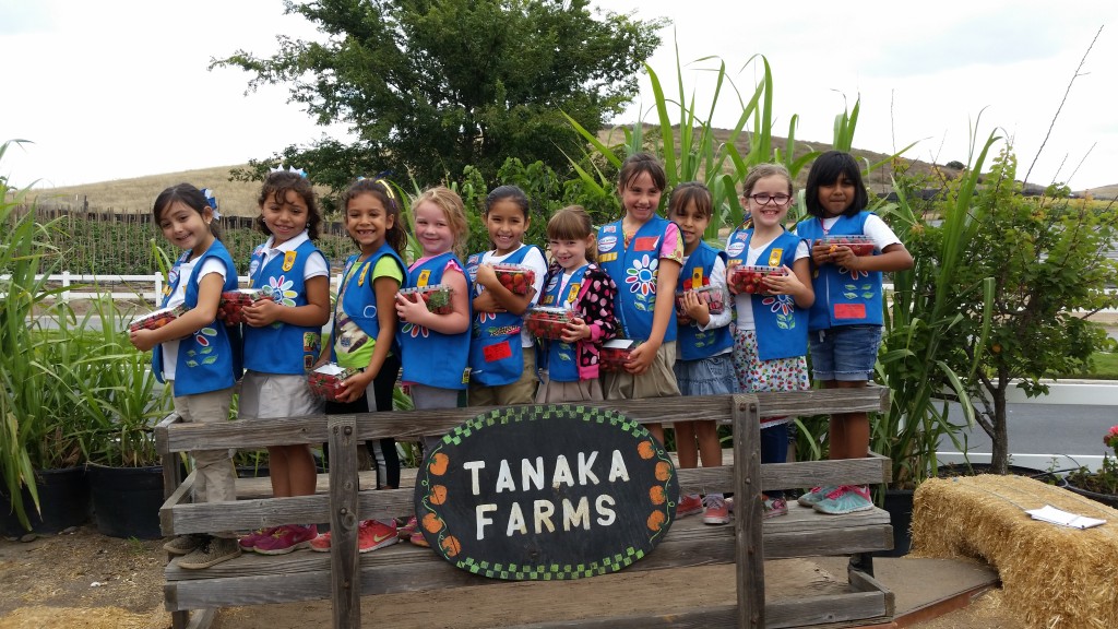 Interview with a Girl Scout Troop Leader