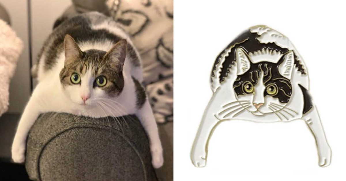 picture of a cat and a cat lapel pin