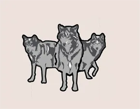 Design of wolves