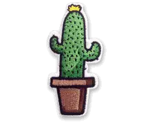 cactus embroidered patch